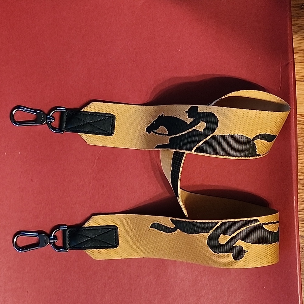 Longchamp Bag Strap